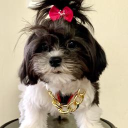 J'ai Oublie De Vivre - J'ai oublié de vivre key 2