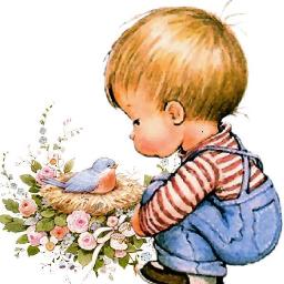 El Niño Y El Canario