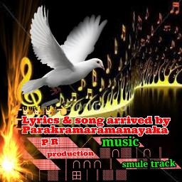 mee aba wanaye මී අඹ වනයේ