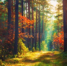 ကိုယ်လာရင်ကြိုမှာလား - Unicode