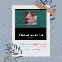 Seni Dert Etmeler (cover)