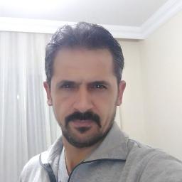 Bülbül havalanmış yüksekten uçar