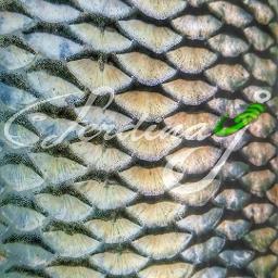 Seni Ezbere Aldım (1999 Orjinal)