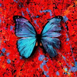 Shivers (Official Instrumental)