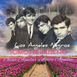 Dejenme si estoy llorando