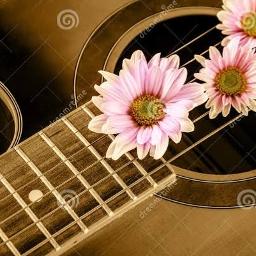 [Short Acoustic] ドライフラワー / Dry Flower