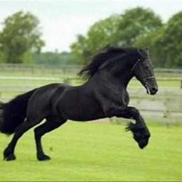 Ahora Que Me Acuerdo