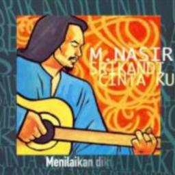 Nurnilam Sari - Nur Nilam Sari M Nasir