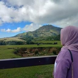 Layang Dongo Restu (LDR)