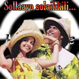 HQ💕 Sollaayo solaikili💕 full💕💕💕💕sollayo
