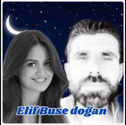 Bahçada Yeşil Çınar