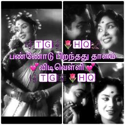 🎼🆃🅶🎼Pannodu piranthathu Thaalam 🌷🅷🆀🦅