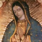 BUENOS DIAS PALOMA BLANCA