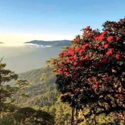 ချင်းတောင်တန်းမှကြိုဆိုလျက် - Unicode