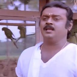 கூண்டுக்குள்ள என்ன வச்சு - Half (HQ)