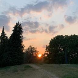 Con Olor A Hierba - Con olor a hierba