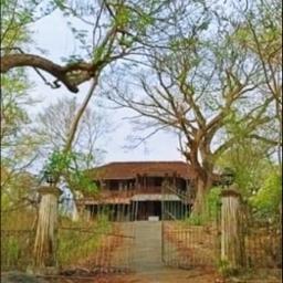 တစ်ပြည်သူမရွှေထား