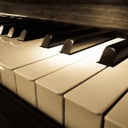 Rapuh (piano male key)