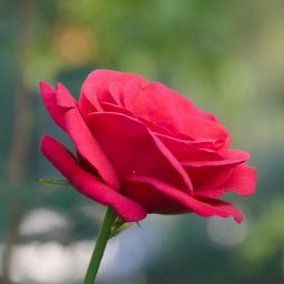 Madhuram Jeevamrutha Bindu (Full)