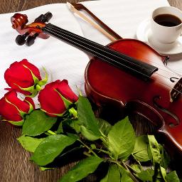 ஓ ஓ அண்ணனோட பாட்டு