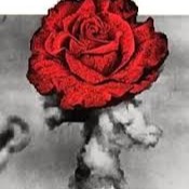 Rosa De Hiroshima - ***ROSA DE HIROSHIMA