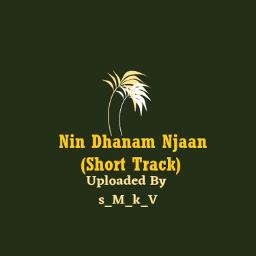Nin Dhanam Njan Anubhavichu(Short)