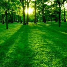 Away In A Manger (Trad) - Away in A Manger