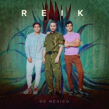 Te hubieras ido antes 🌷 Reik