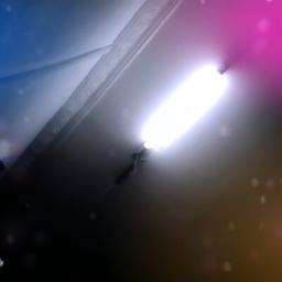 Salam Muhibbah (Original Audio)