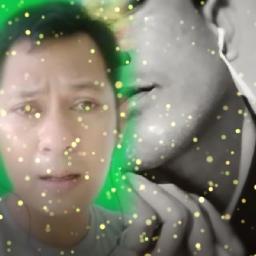 Bintang Kehidupan