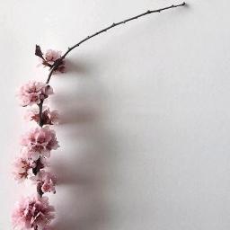 Melliname Melliname Unplugged