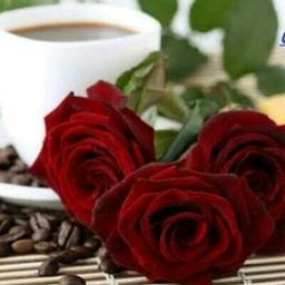 ❤Puthu 🅥🅔🅛🅛🅐🅘 mazhai Roja-short