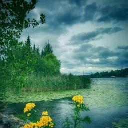 ye zamin gaa rahi hai (Short Teri kasam 1982)