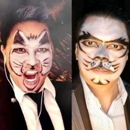 Di due Catti Cat duet dueto de gato