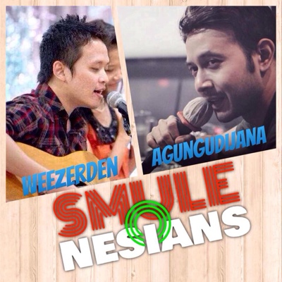 Muse - Plug In Baby acoustic cover