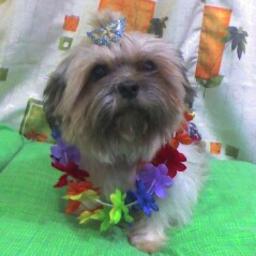 Diggin' On You - Song Lyrics and Music by Tlc arranged by aCiDCruZ on