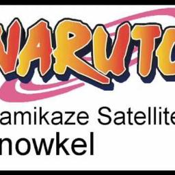 Namikaze Satellite