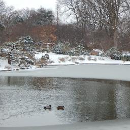 In The Bleak Midwinter - Song Lyrics and Music by Katherine Jenkins