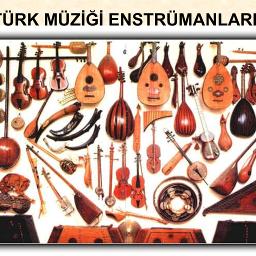 karlı kayın ormanında