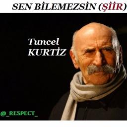 Sen Bilemezsin Şiir