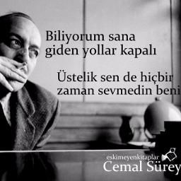 Sana Giden Yollar Kapalı ( Şiir )