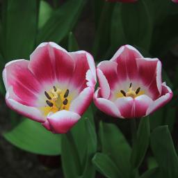 Who Am I - ? Piano Acoustic