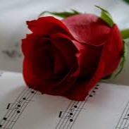 Como Mariposa - MG_LRLoopee's version