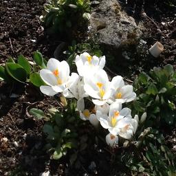 Blue Bayou... (Delila_Gaspersz)