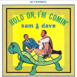 Hold On I'm Coming