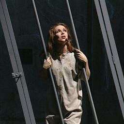 Les oiseaux qu'on met en cage