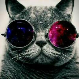 លក់ស្រែចូលបា