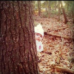 Крестовая печать