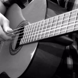Every Breath You Take - Fingerstyle