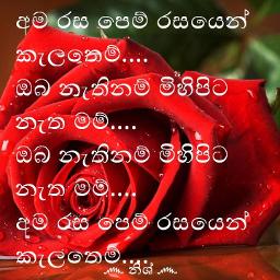 Ama Rasa Pem Rasayen අම රස පෙම් රසයෙන් - Song Lyrics and Music by ...